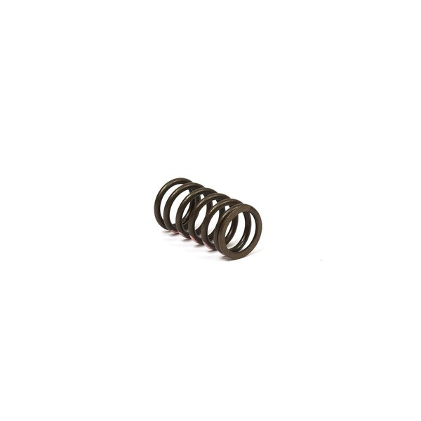 Briggs & Stratton Valve Spring 845589